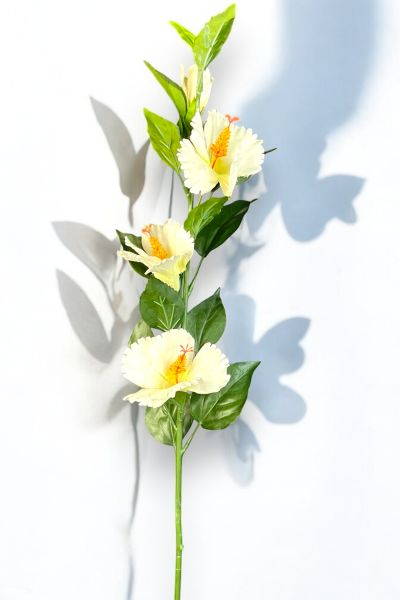 Lisyantus Çiçeği Lisianthus Beyaz