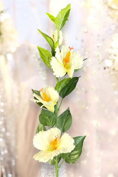 Lisyantus Çiçeği Lisianthus Beyaz