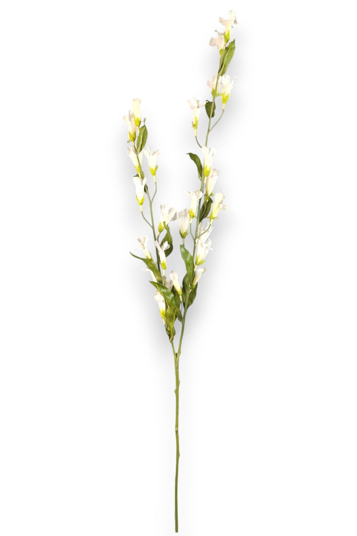 Kardinal Çiçeği Lobelia Beyaz 120cm