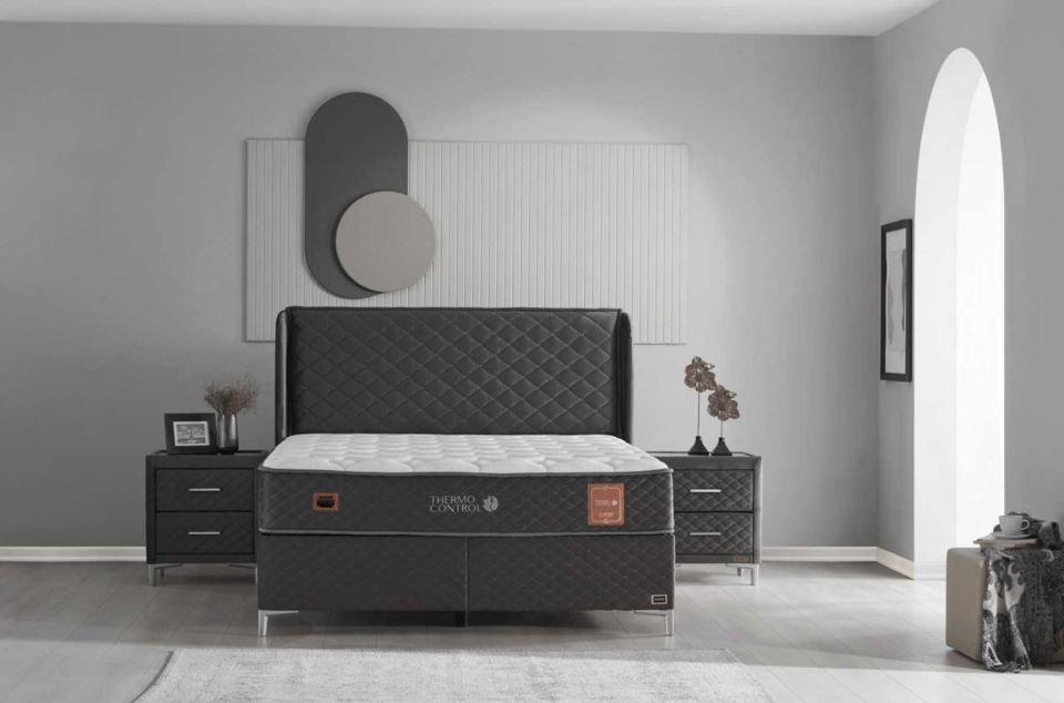 Bambi Thermo Control Başlık