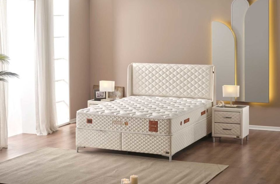 Bambi Thermo Control Başlık
