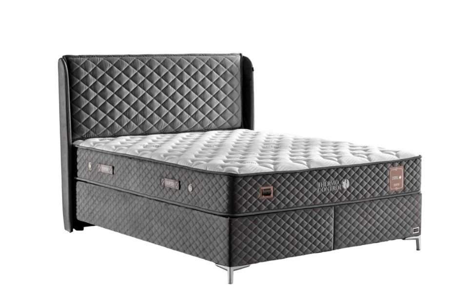 Bambi Thermo Control Başlık