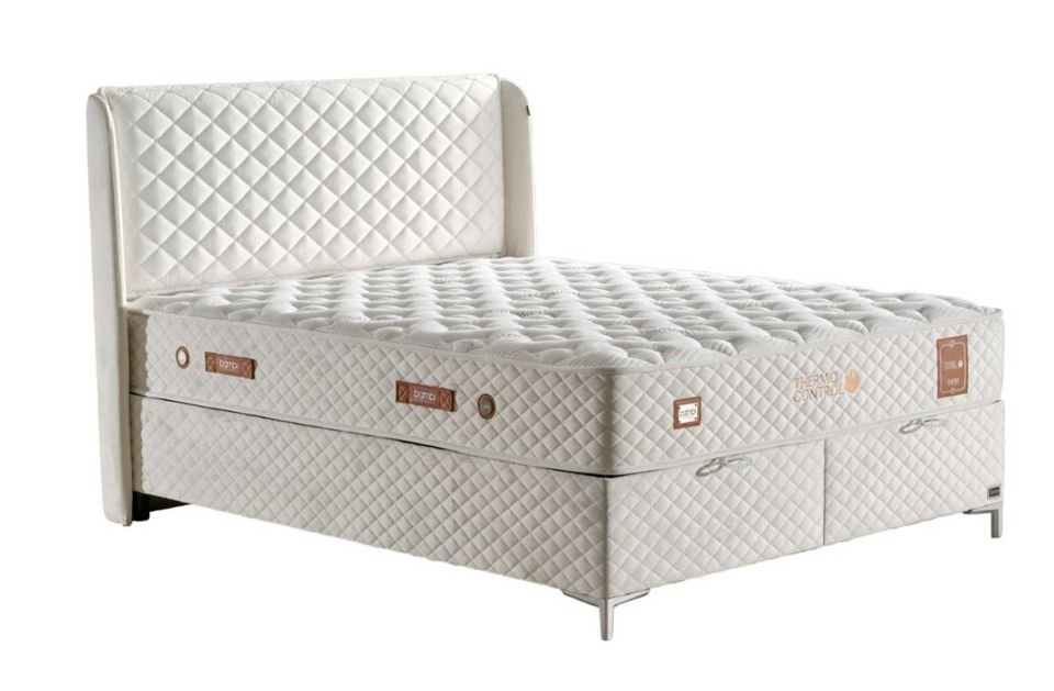 Bambi Thermo Control Başlık