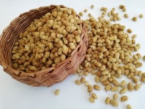 DUT KURUSU (1 KG)