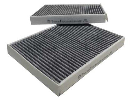 BMW 7 F01 730i 3.0 2009-2015 Sardes Karbonlu Polen