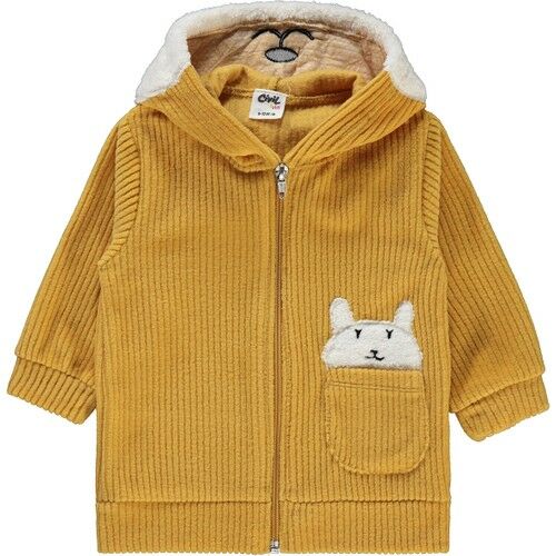 Baby Boy Hooded Cardigan 9-18 Months Mustard