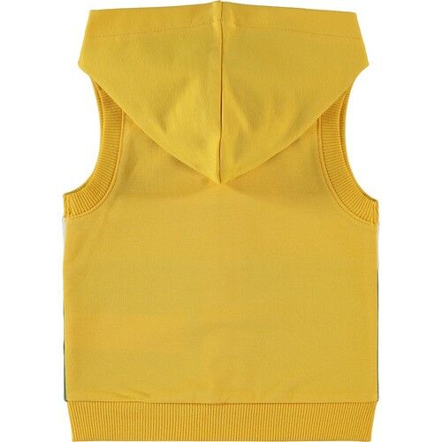Baby Boy Hooded Vest 6-18 Months Yellow