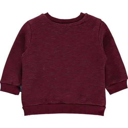 Tufyy Erkek Bebek Sweatshirt 6-24 Ay Bordo
