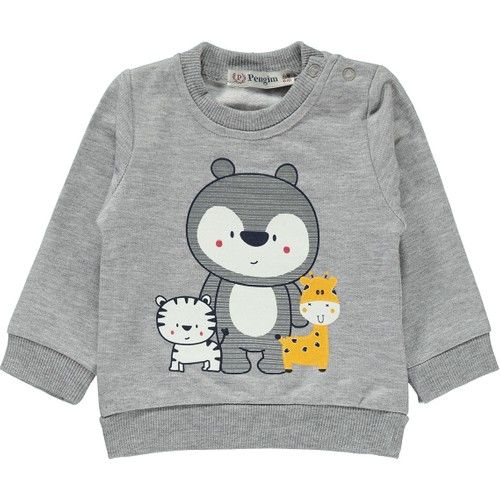 Pengim Erkek Bebek Takım 6-18 Ay Gri
