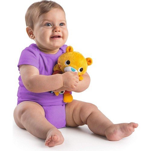 Cute Rattle & Teether - Tiger