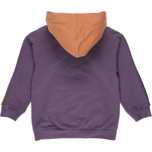 Erkek Çocuk Kapüşonlu Yazılı Şerit Detaylı Sweatshirt