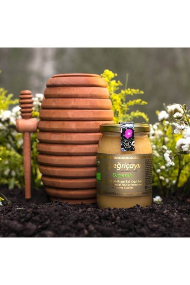 Organik Oğul Balı 450 Gr