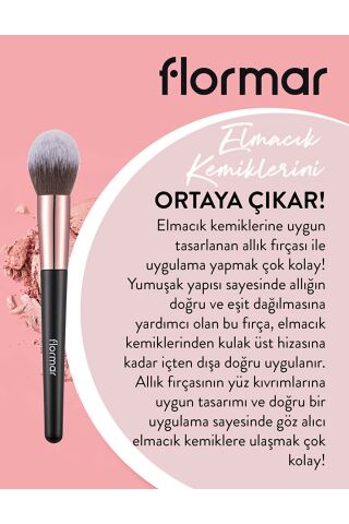 Blusher Brush 004