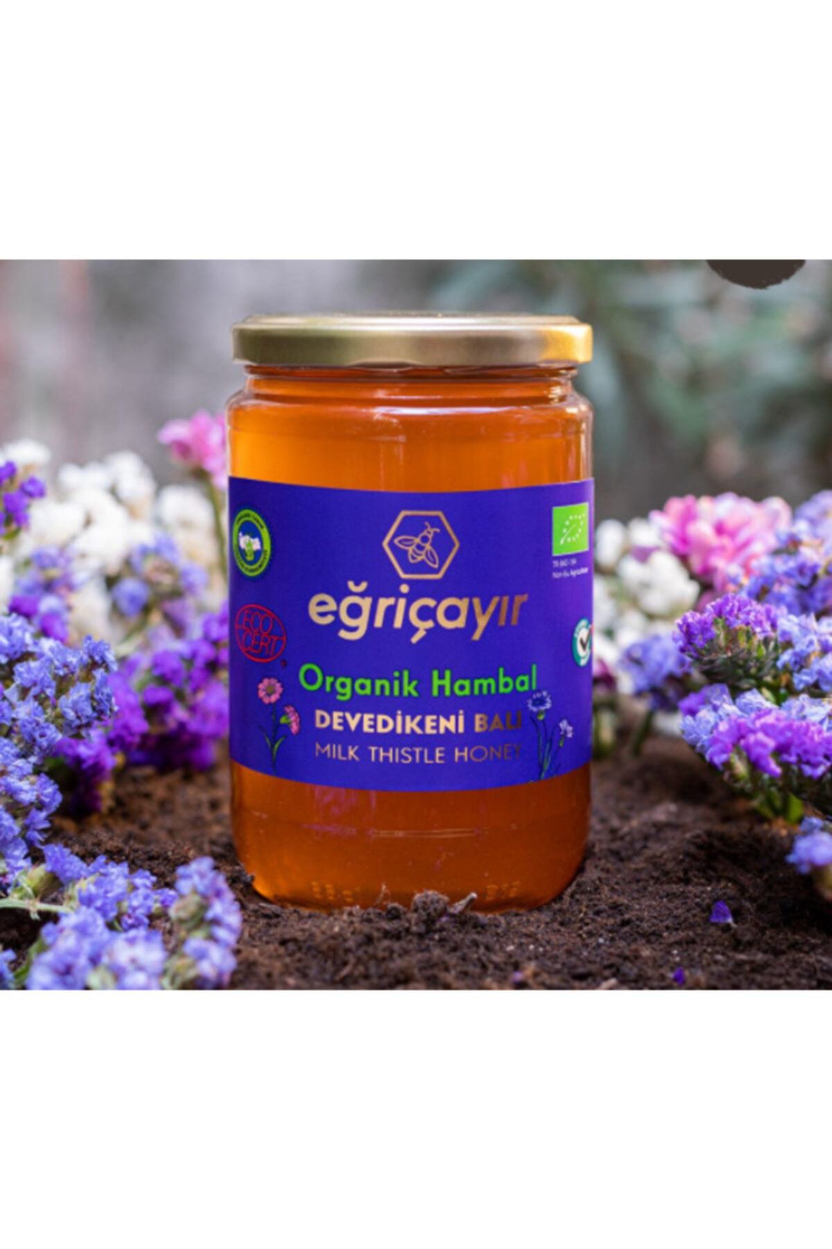 Organik Devedikeni Balı 850 Gr