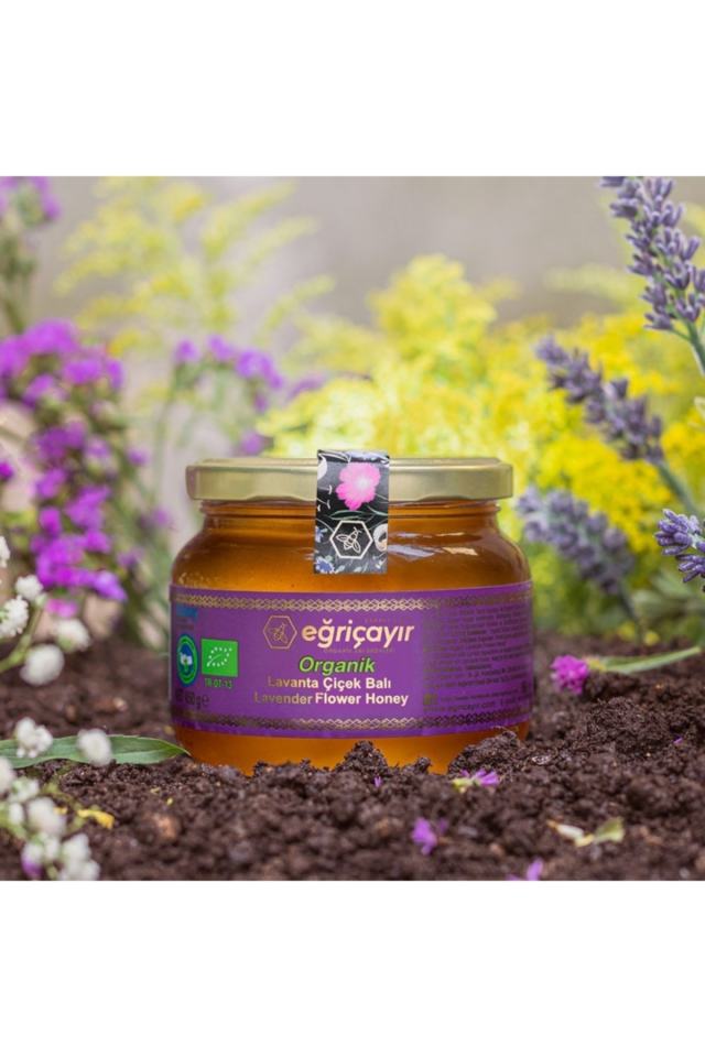 Organik Lavanta Balı 450 Gr