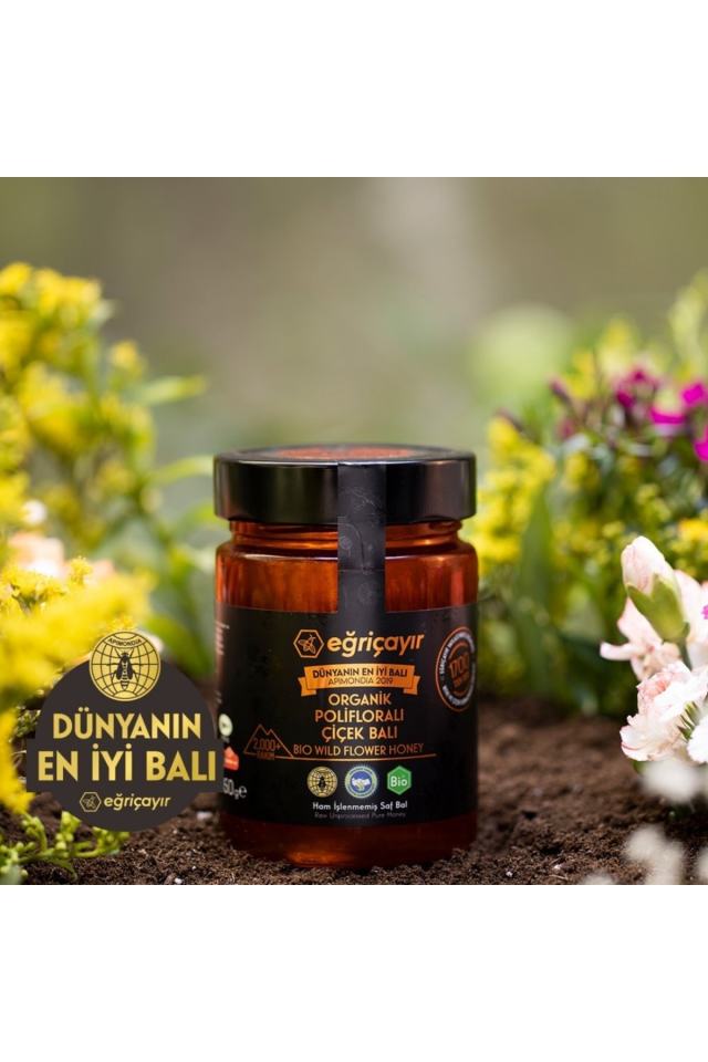 Organik Polifloralı Bal 450 g