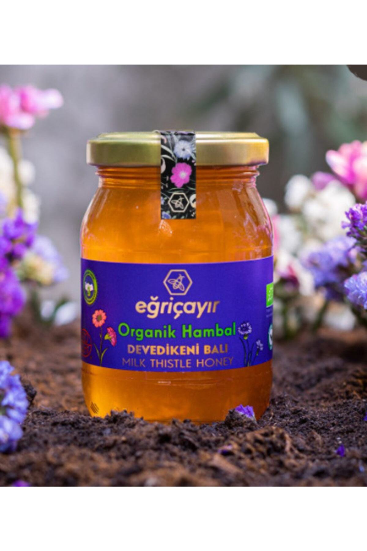 Organic Thistle Honey 225 Gr