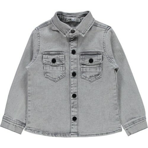 Boys Shirts Ages 2-5 Gray