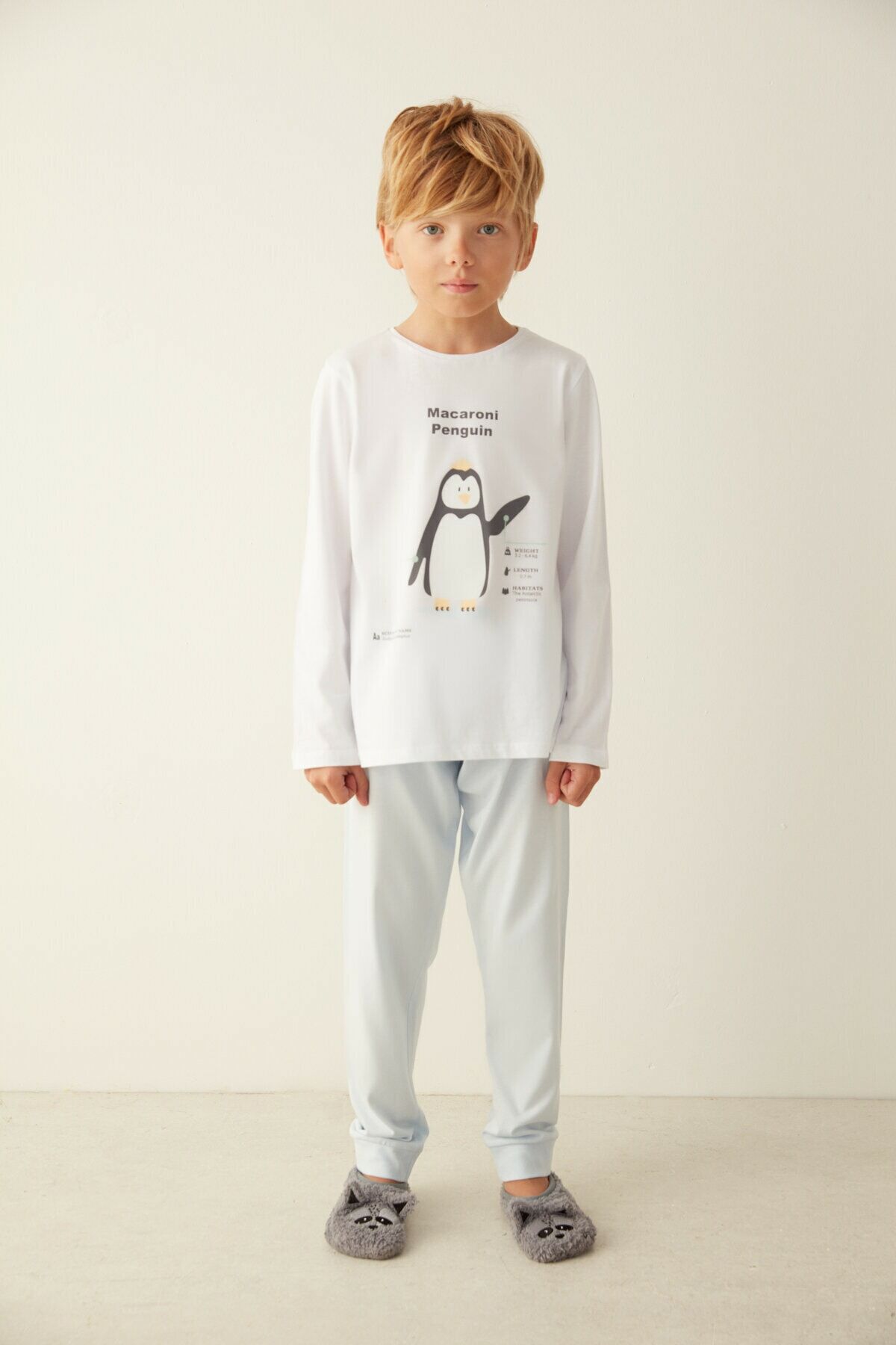 Çok Renkli U.macaroni Penguin Pijama Takımı
