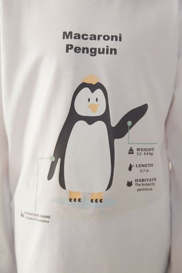 Çok Renkli U.macaroni Penguin Pijama Takımı