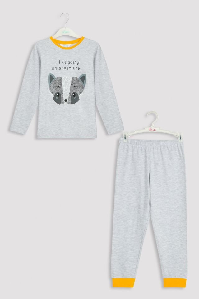 Açık Gri Melanj Erkek Çocuk B. Racoon Pijama Takımı
