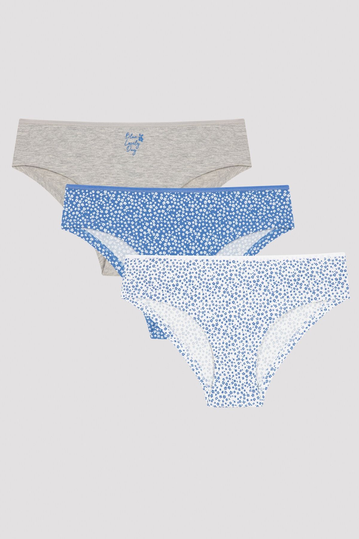 Multicolored Blue Lovely Day 3 Piece Hipster Panties