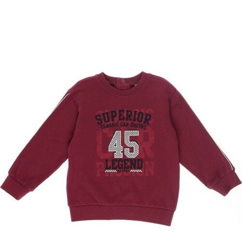 Erkek Bebek Sweatshirt