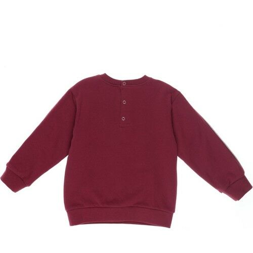 Erkek Bebek Sweatshirt