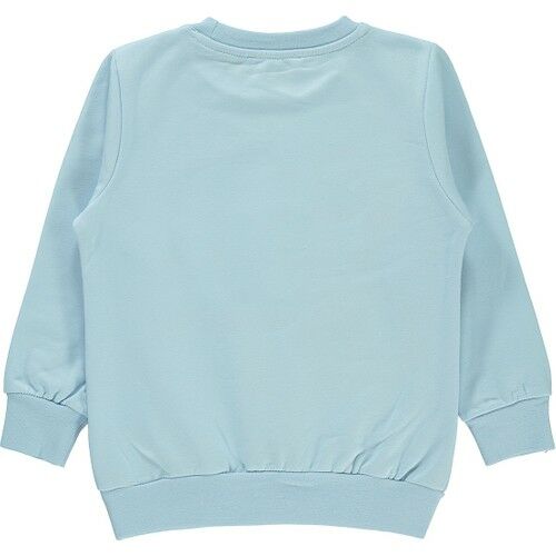 Erkek Çocuk Sweatshirt 2-5 Yaş Mavi