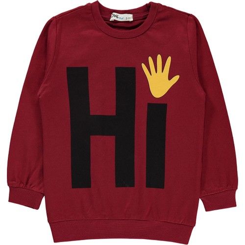 Erkek Çocuk Sweatshirt 2-5 Yaş Bordo