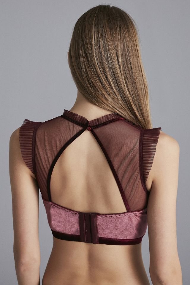 Women's Cherry Bloom Bustier