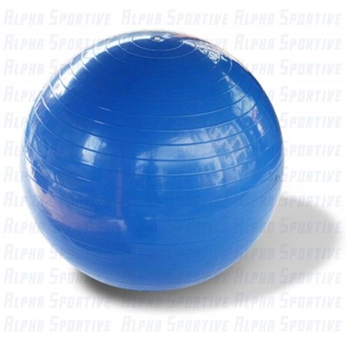 ALPHA AS 015 55 CM PILATES BALL