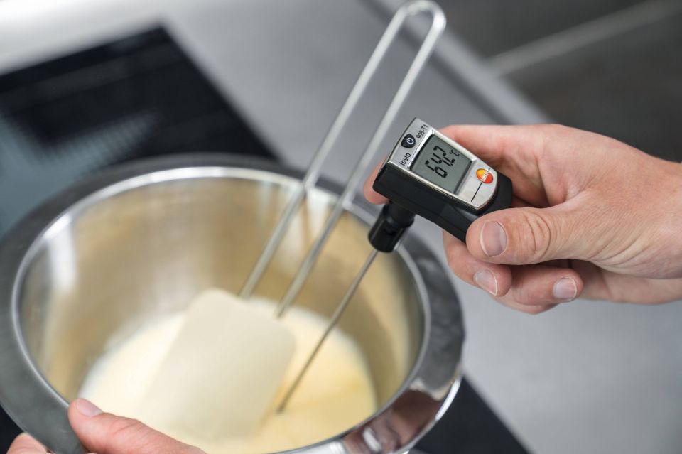 Testo 905-T1 Daldırma Batırma Tip Termometre