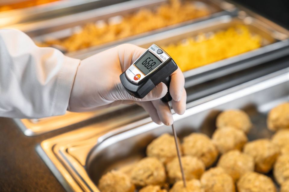 Testo 905-T1 Daldırma Batırma Tip Termometre
