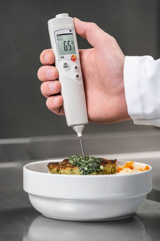 Testo 106 Daldırma/Batırma Tip Termometre