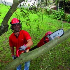 Einhell GC-EC 750 T Elektrikli Yüksek Dal Budama