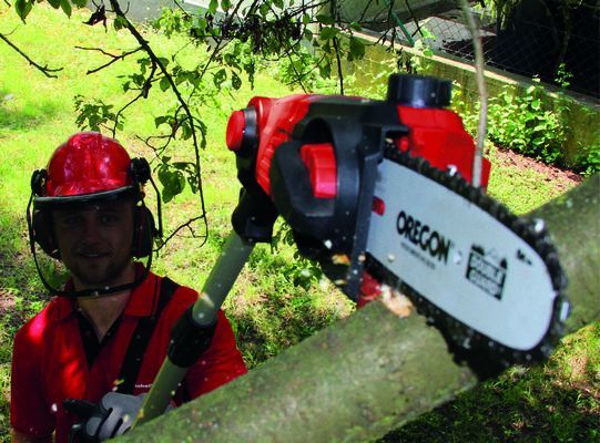 Einhell Ge-HC 18 Li T 2x4.0ah Akülü Yüksek Dal ve Çit Budama Makinesi