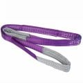 Liftech Polyester Sapan 1 T x 2Mt 6.1 En-1492/1