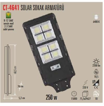 250W SOLAR SOKAK ARMATÜRÜ