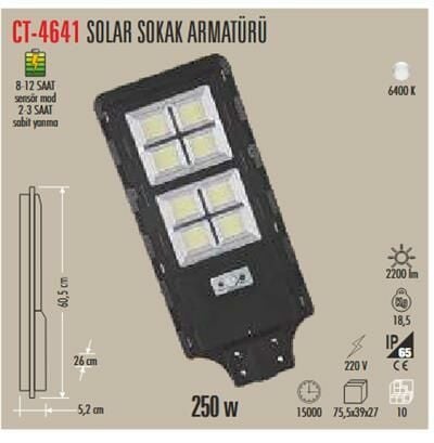 250W SOLAR SOKAK ARMATÜRÜ