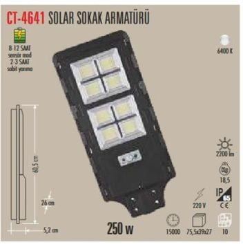 250W SOLAR SOKAK ARMATÜRÜ