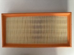 Hava Filitresi Carısma 1,6 95-04