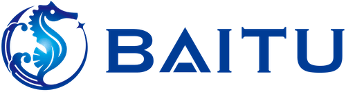 BAITU GYRO