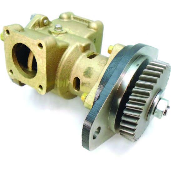 SHERWOOD DENİZ SUYU POMPASI P1730C     2''