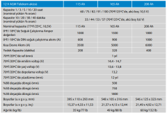 Victron Energy 12V/115Ah AGM Telekom akü (M8) BAT412105164