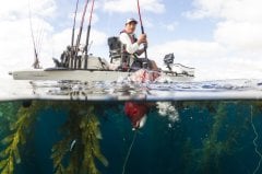 Hobie Mirage Pro Angler Series 14 Dune