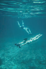 JOBE SEA SCOOTER INFINITY