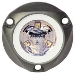 SeaBlaze Mini Ledli Su Altı Aydınlatma Lambası Çift MAVİ