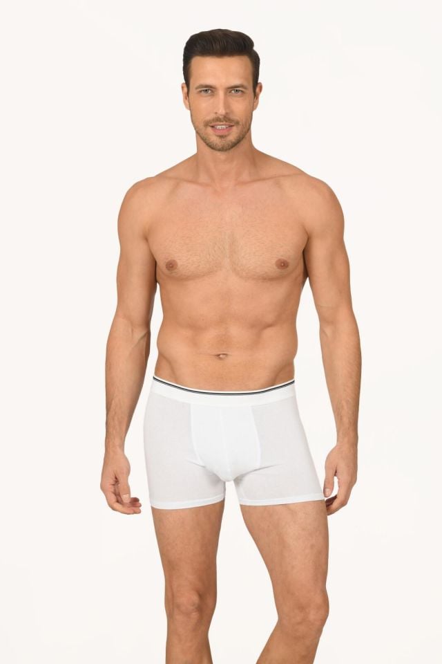 Nbb 735 Erkek Modal Boxer