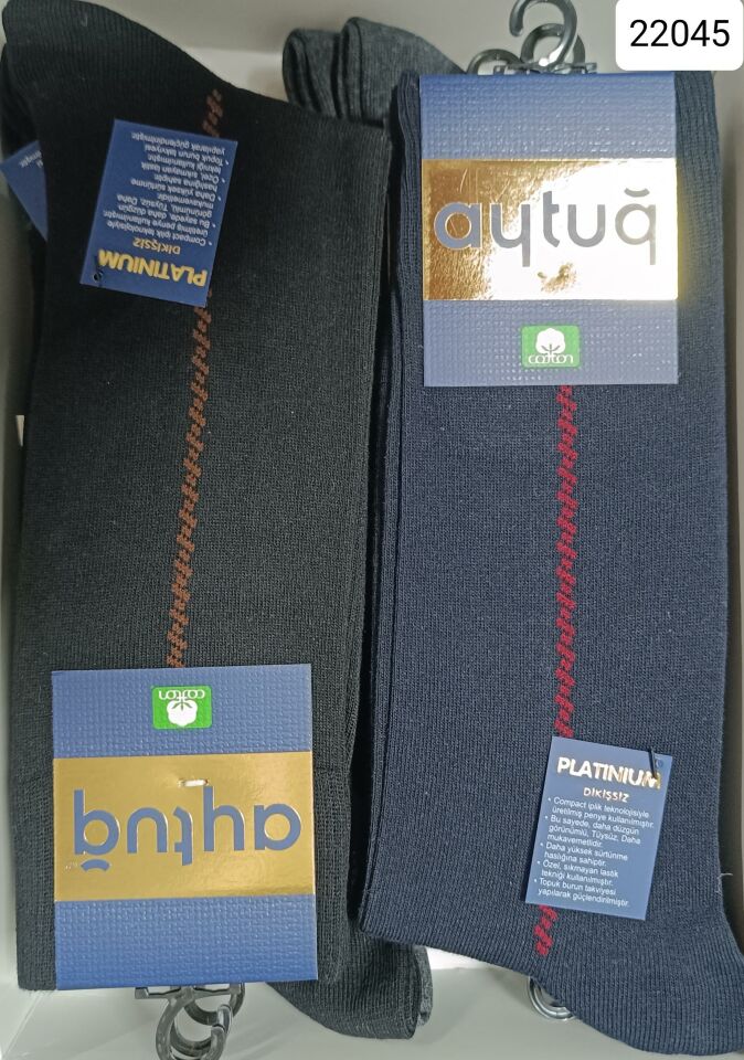 AYTUĞ 22045 ERKEK PLATINIUM ÇORAP M